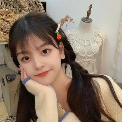 蔷薇少女 序曲